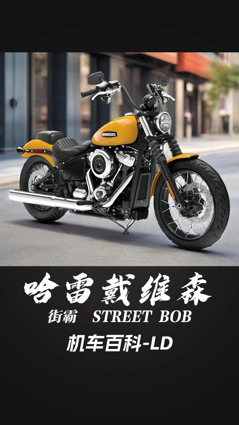 哈雷 哈雷戴维森摩托车图片和报价