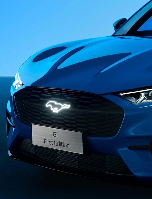 野马纯电动汽车／野马纯电动汽车图片