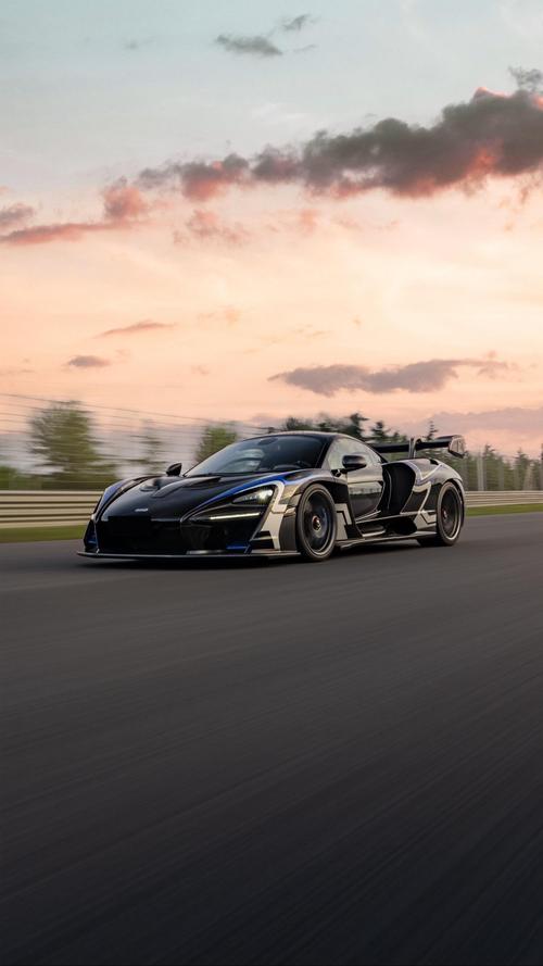 迈凯伦塞纳多少钱 迈凯伦塞纳多少钱人民币